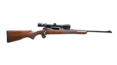 model 70 westerner value.